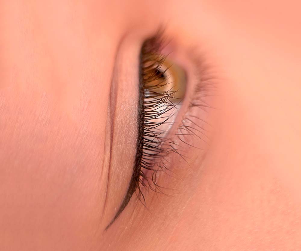 Cheshm آموزش تخصصی طراحی ابرو با قلم میکروبلیدینگ در شیراز