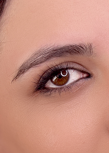 تکنیک فیبروز ابرو در دوره آموزشی میکرو ابرو شیراز